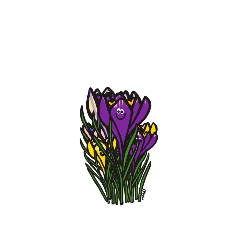 Handgetekende bloemenillustratie door Marretjes