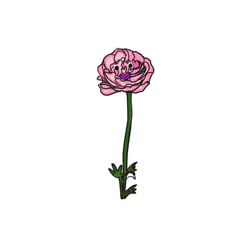 Handgetekende bloemenillustratie door Marretjes