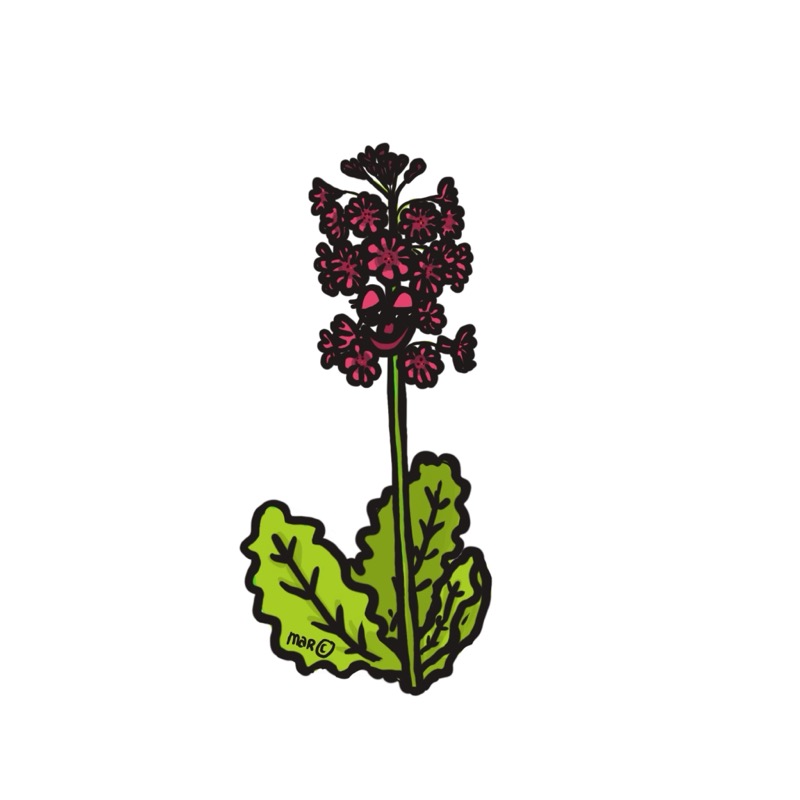 Handgetekende bloemenillustratie door Marretjes