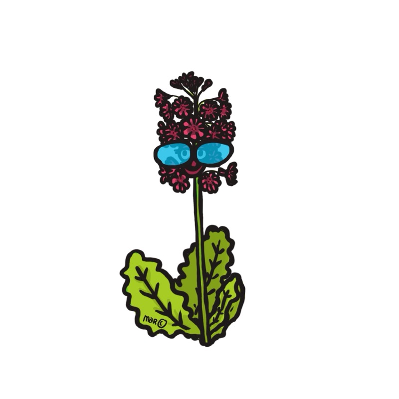 Handgetekende bloemenillustratie door Marretjes
