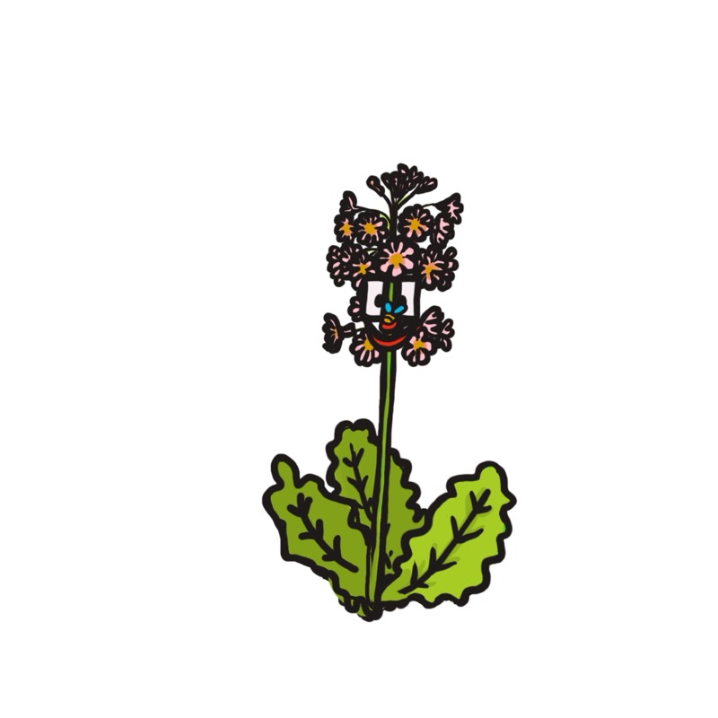 Handgetekende bloemenillustratie door Marretjes