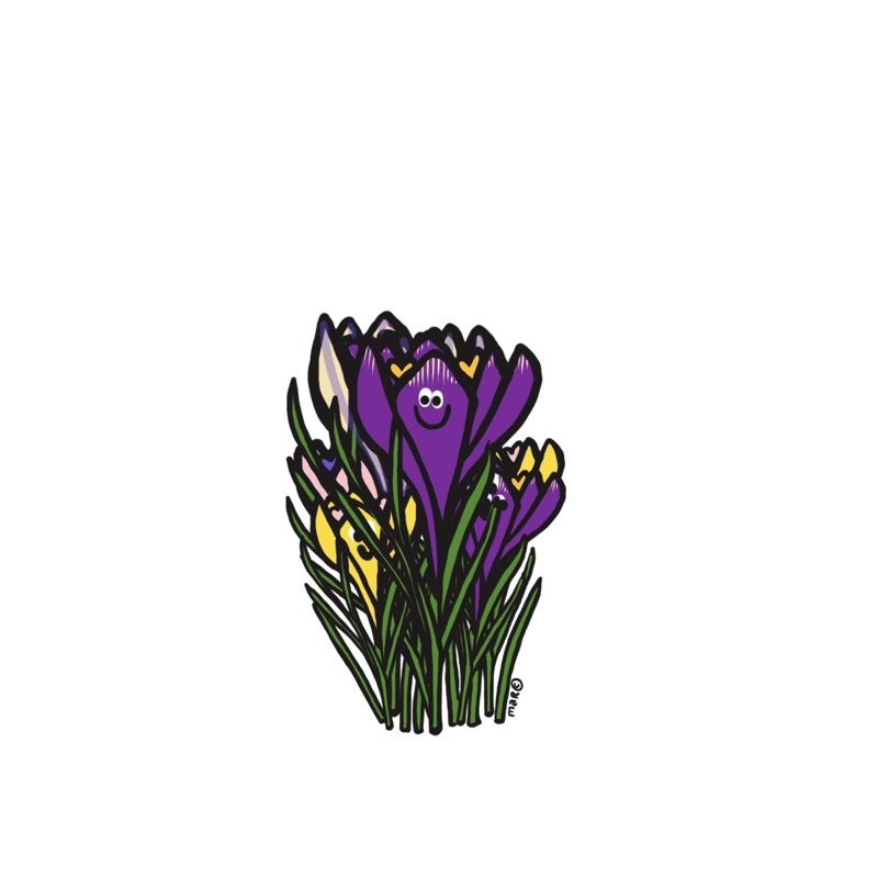 Handgetekende bloemenillustratie door Marretjes