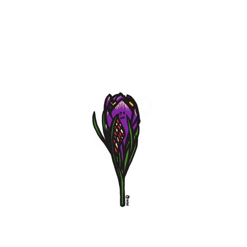 Handgetekende bloemenillustratie door Marretjes