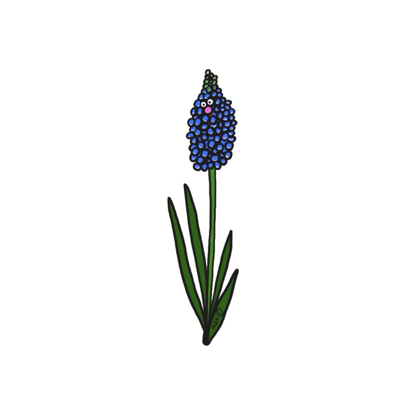 Handgetekende bloemenillustratie door Marretjes